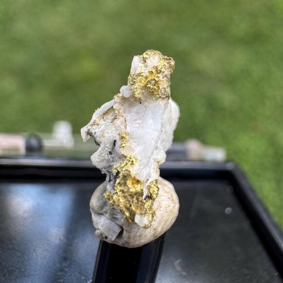 Gold on Quartz - Natural California Gold Specimen in Perky Display Box - #13 - Picture 3 of 9
